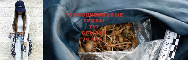 трава Абинск
