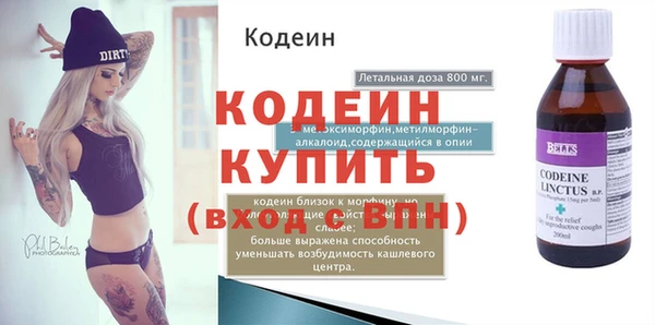 шишки Абаза