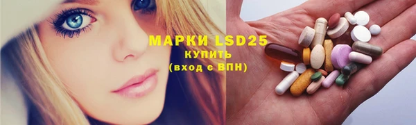 шишки Абаза