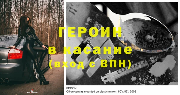 шишки Абаза