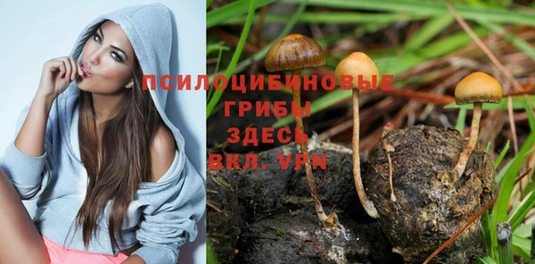 дурь Алзамай