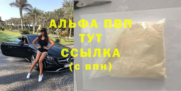 шишки Абаза