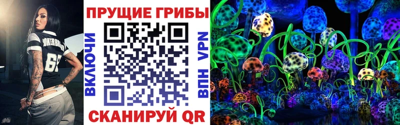 Галлюциногенные грибы Psilocybine cubensis  Одинцово 