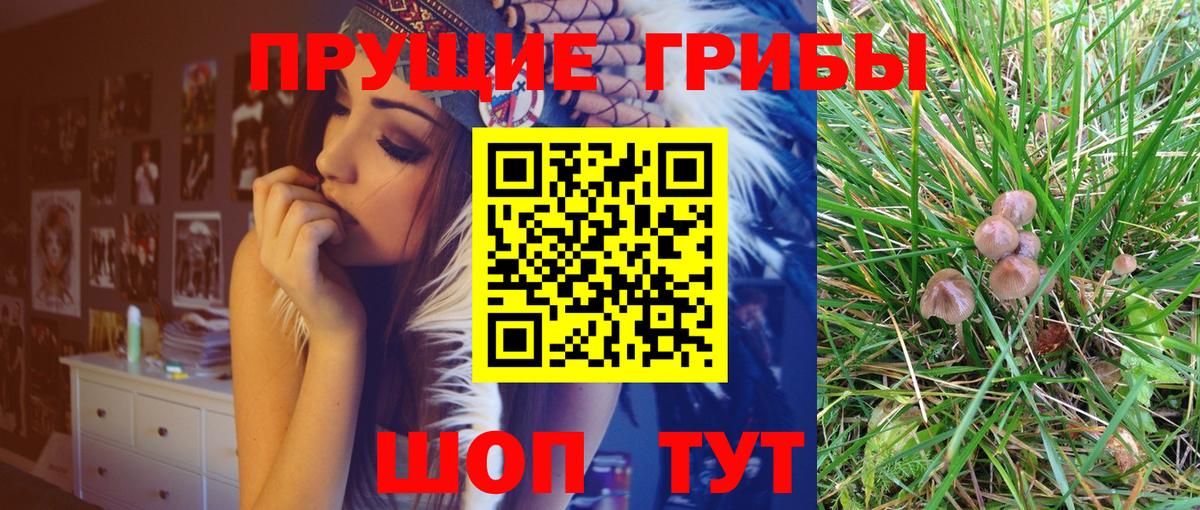 Псилоцибиновые грибы GOLDEN TEACHER  Вход с VPN  Одинцово 