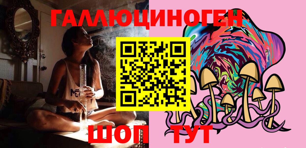 Галлюциногенные грибы Psilocybe Одинцово