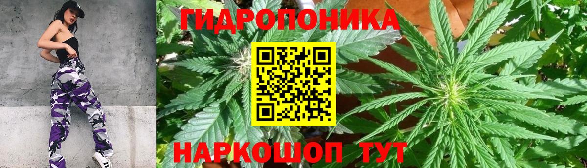 Шишки марихуана марихуана  Вход с VPN  Конопля семена  Одинцово  Бошки Шишки White Widow  Бошки марихуана тримм 